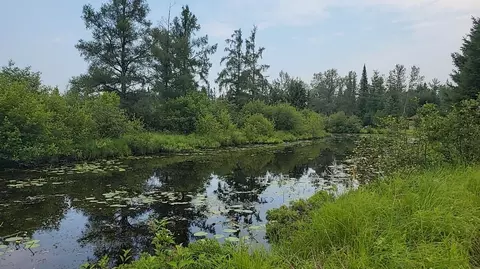 12 55 Acres Juniper, Grayling, MI 49738 photo 3