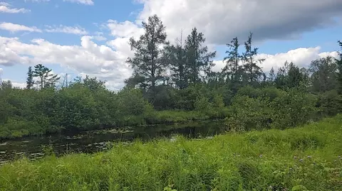 12 55 Acres Juniper, Grayling, MI 49738 photo 5