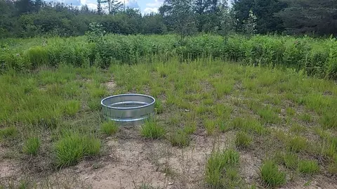 12 55 Acres Juniper, Grayling, MI 49738 photo 6