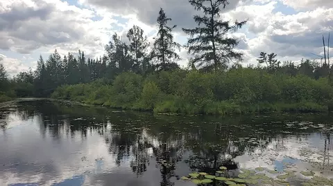 12 55 Acres Juniper, Grayling, MI 49738 photo 2