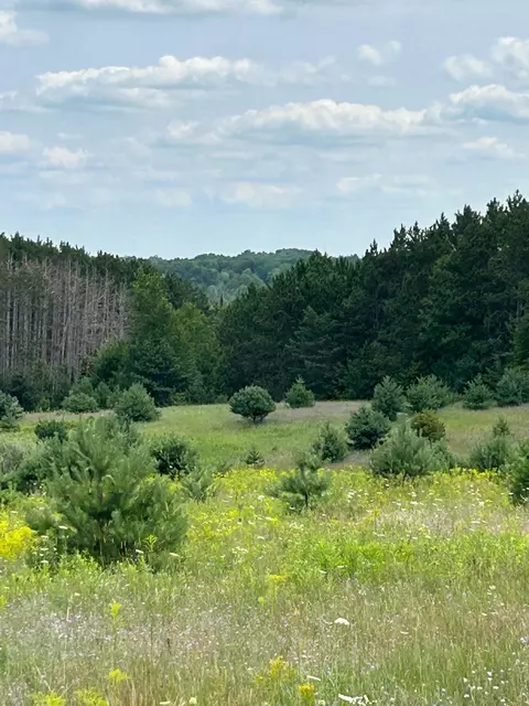 Markenwood, Williamsburg, MI 49690 photo 2