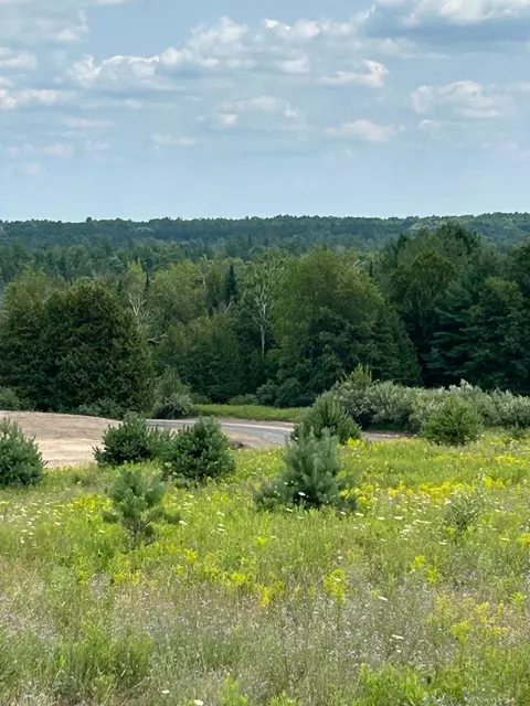 Markenwood, Williamsburg, MI 49690 photo 3