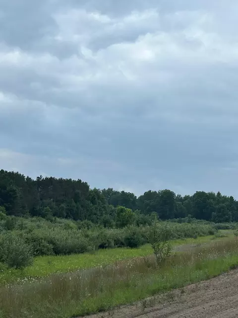 Markenwood, Williamsburg, MI 49690 photo 11