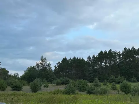 Markenwood, Williamsburg, MI 49690 photo 12