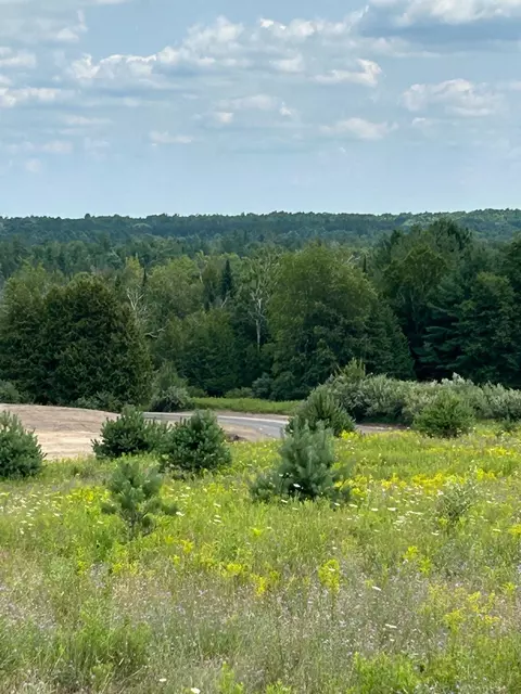 Markenwood, Williamsburg, MI 49690 photo 3
