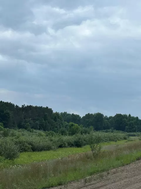 Markenwood, Williamsburg, MI 49690 photo 11