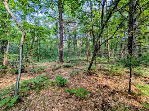 Hillside, Alger, MI 48610 photo 4