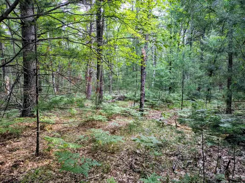 Hillside, Alger, MI 48610 photo 3