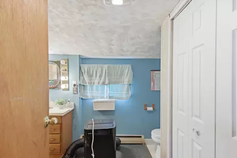 430 Bridge, Alma, MI 48801 photo 29