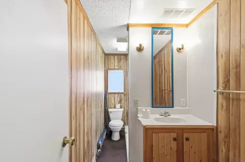 430 Bridge, Alma, MI 48801 photo 21