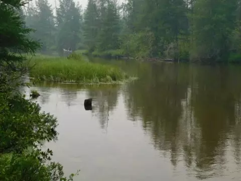 View/Area - 2406 Serenity, Grayling, MI 49738 photo 2 of 11