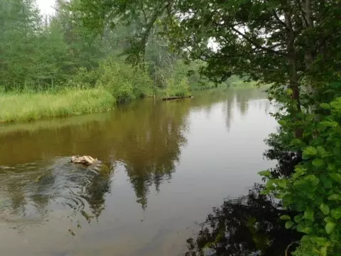 View/Area - 2406 Serenity, Grayling, MI 49738 photo 1 of 11