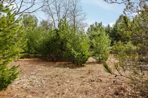 #2 Old Cabin #: 2, Interlochen, MI 49634 photo 7