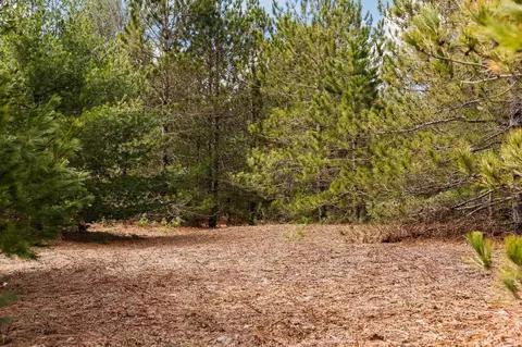 #2 Old Cabin #: 2, Interlochen, MI 49634 photo 6