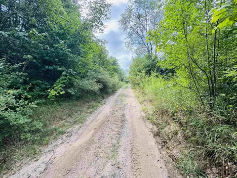 Parcel B4/b5 Bosscher, Manton, MI 49663 photo 5