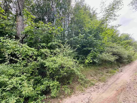 Parcel B4/b5 Bosscher, Manton, MI 49663 photo 3