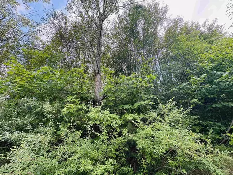 Parcel B4/b5 Bosscher, Manton, MI 49663 photo 4