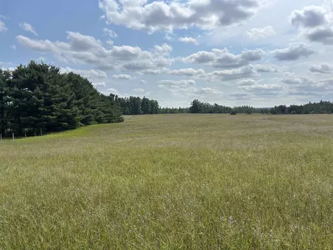Vl 24.75a Summit, Vanderbilt, MI 49795 photo 12