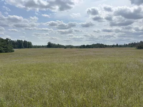 Vl 24.75a Summit, Vanderbilt, MI 49795 photo 13