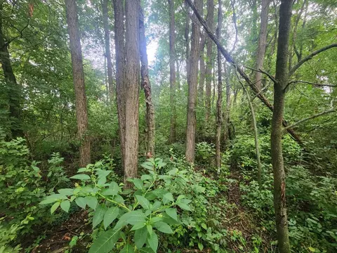 Kerry, Onekama, MI 49675 photo 3