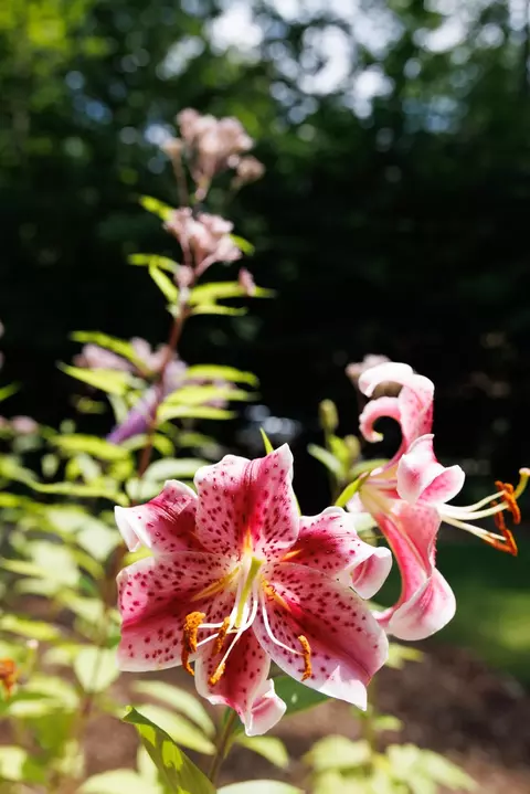 Other - 2470 E Cherry, Cedar, MI 49621 photo 7 of 7