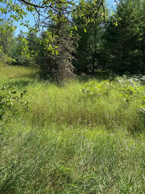6274 SW Friendship #LOT : C, Fife Lake, MI 49633
