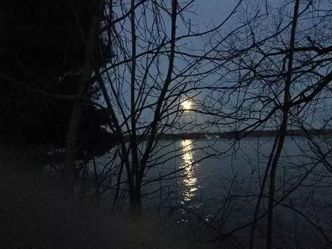 View/Area - 4162 Chrystal, Interlochen, MI 49643 photo 7 of 8