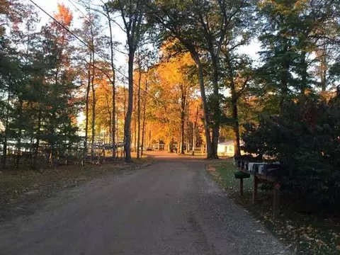 Exterior - 4162 Chrystal, Interlochen, MI 49643 photo 23 of 29