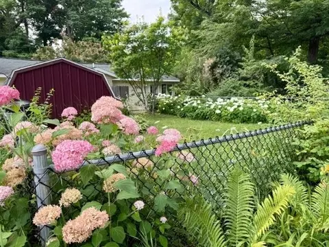Exterior - 4162 Chrystal, Interlochen, MI 49643 photo 13 of 29