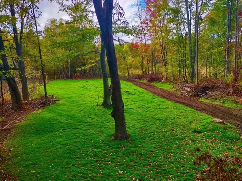 V/land SE M-115, Marion, MI 49665