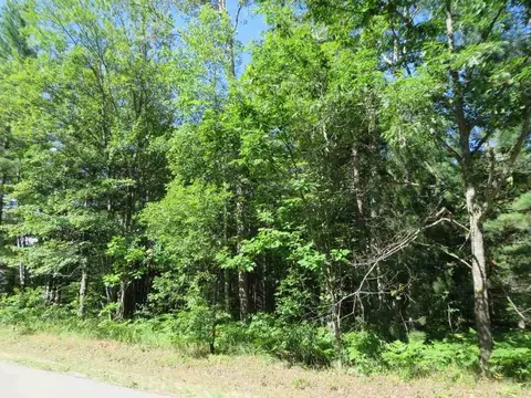 2043 E Log Lk #LOT 31, Kalkaska, MI 49646
