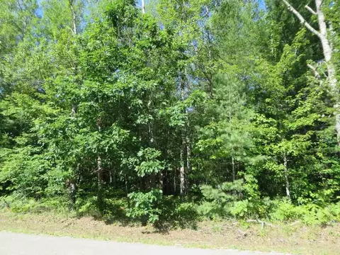 2065 E Log Lk #LOT 30, Kalkaska, MI 49646