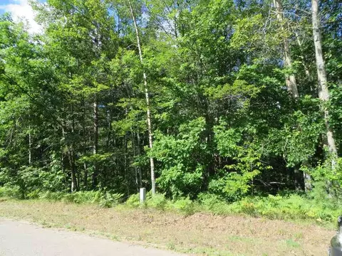 2089 E Log Lk #LOT 23, Kalkaska, MI 49646