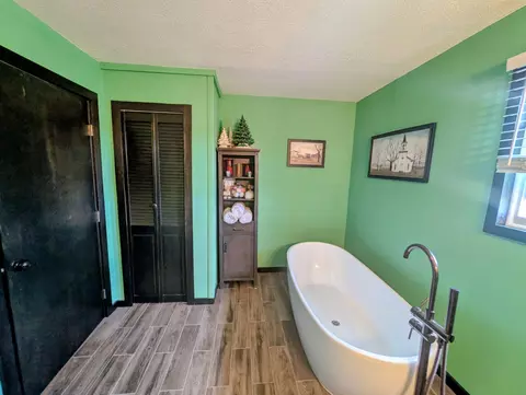 Bath - 124 W Saginaw #LOT : 3 & 4, Au Gres, MI 48703 photo 3 of 4