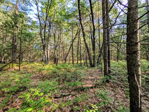 N/A Huron Breeze #: 7, Au Gres, MI 48703 photo 14