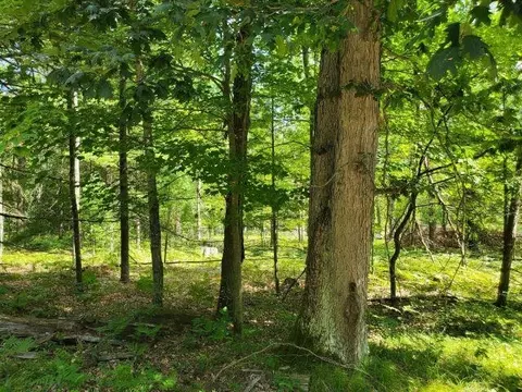 0 Turtle Lk #PARCEL 7 TURTLE LAKE ROAD, Prescott, MI 48756