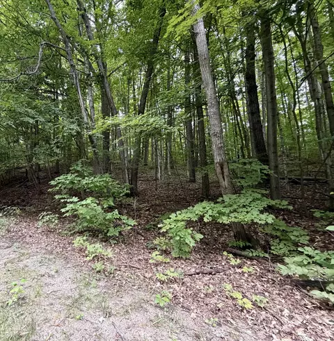 0000 Wasservalden #LOT 14 KLAFFENDORF, Bellaire, MI 49615