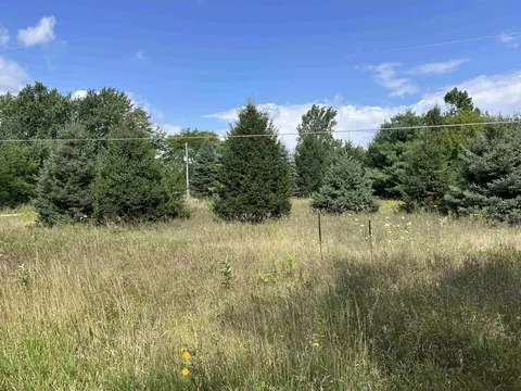E River, Mount Pleasant, MI 48858 photo 6