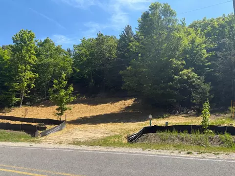 Unit 6 E Hoxie, Cedar, MI 49621 photo 4