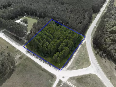 0000 NW Dundas, Alden, MI 49612
