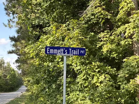 emmettâ€™s LOT : C, Lake Ann, MI 49650