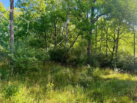 Parcel 1 E Darga, Cedar, MI 49621 photo 12