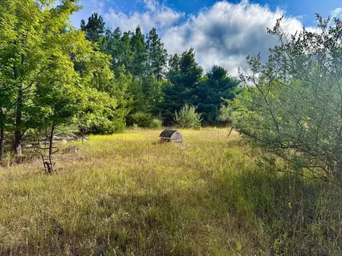 Parcel 1 E Darga, Cedar, MI 49621 photo 16
