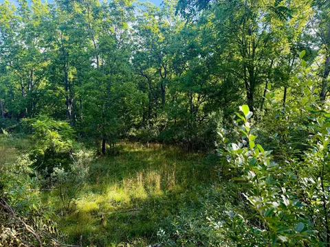 Parcel 1 E Darga, Cedar, MI 49621 photo 11