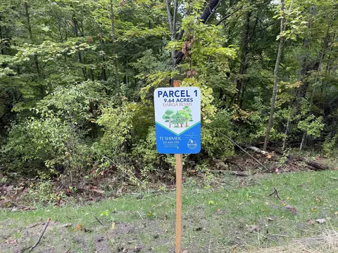 Parcel 1 E Darga, Cedar, MI 49621 photo 4