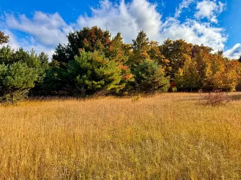 Parcel 1 E Darga, Cedar, MI 49621 photo 8