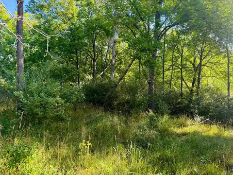 Parcel 1 E Darga, Cedar, MI 49621 photo 17