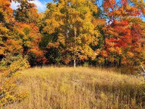 Parcel 1 E Darga, Cedar, MI 49621 photo 3