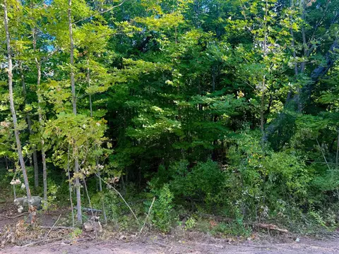 Parcel 1 E Darga, Cedar, MI 49621 photo 9