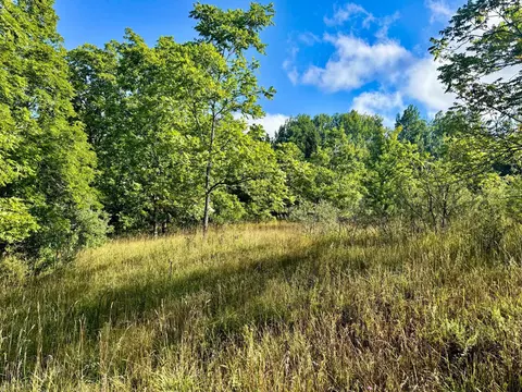 Parcel 1 E Darga, Cedar, MI 49621 photo 4